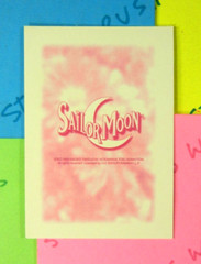 Sailor Moon & Friend Prismatic Trading Card Sticker