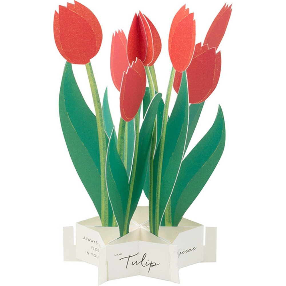 Korean Blooming Card – Tulip
