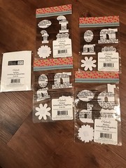 Scrapbook Stickers Letters Alphabet Monogram Wood & 3D Floral 6 Pkgs NEW Craft