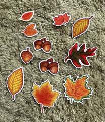Autumn Fall Leaves And Acorn Die Cuts, Loose (thin glossy material), 71 pieces