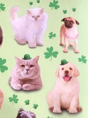 1 Sheet AGC Dogs Cats Pets Leprechaun Stickers St Patricks Ireland Clover Luck
