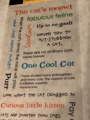 AMERICAN TRADITIONAL DESIGNS LIL’ MESSAGES ‘PAWS AND CLAWS CAT MESSAGES 20PCS