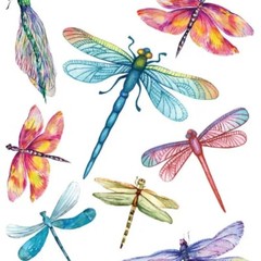 Violette Stickers Dragonflies Sticker Sheet Watercolor Insect Scrapbook Stickers
