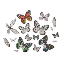Tim Holtz, Advantus Transparent Wings, white 72 Count Medium, White