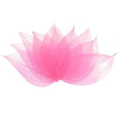 100-Pack Skeleton Leaves, Natural Rubber Leaves Vein[4-6cm, Light Dark Pink]