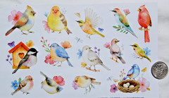 Current Stickers Watercolor BIRD birds cute cardinal robin goldfinch chickadee