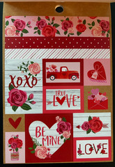 RECOLLECTIONS VALENTINE’S DAY STICKER BOOK 204 PC STICKERS 12 SHEETS ROMANCE