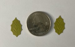 GREEN MID HOLLY LEAF Die-cut Embellishment(20pc)Jolees •Garden•Berry•Christmas