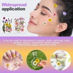 24 Pcs Real Pressed Flowers Set, Colorful Assorted Natural Botanicals for DIY…