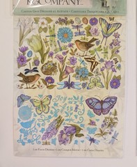 Susan Winget Botanical Die-Cut Cardstock & Acetate By K&Company RARE