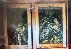 Decoupage Sheets, MossyOak Obsession For your hunter That Likes The Forest Feel.