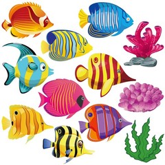 48 Pcs Fish Cutouts Paper Colorful Classroom 5.9 x inches, Assorted