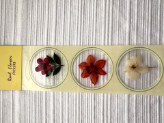 Real Pressed Flower Stickers Scrapbooking Junk Journaling 7 Unopened Packs