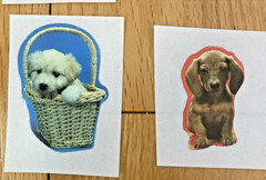 Vintage 80s Sticker Lot: Restored Adorable Puppy Kitten Stickers (READ)