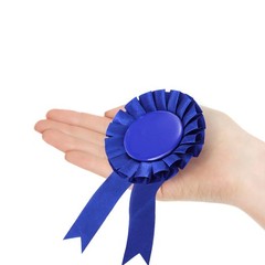 20 PCS Blue Blank Award Ribbons DIY Satin Recognition Participation Victory