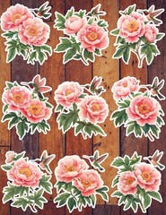 Peony and Hummingbird Die Cut Vinyl Stickers Set Scrapbooking Laptop Waterbottle