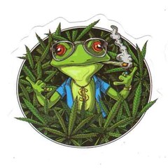 Stickers for Water Bottles, 420 Stickers for Teens Adults, Vinyl Waterproof