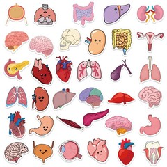 65Pcs Cartoon Colorful Heart Brain Organ Doodle Stickers – Luggage/Fridge/Notebo