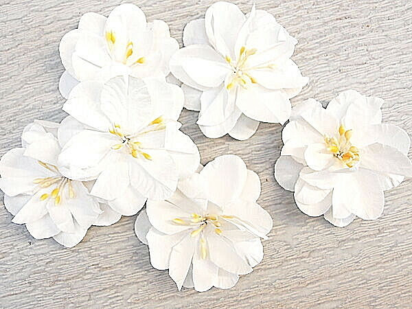 SPRINGTIME 6 Pack WHITE with Centre – PAPER – 50-55mm Manor House ConB
