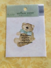 NEW Lot 8 BABY / Children Transparencies Vellum Words Phrase Verses, Scrapbook