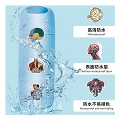 100PCS Cool Anatomy StickersBiology Anatomy Human Body Organ Stickers for St