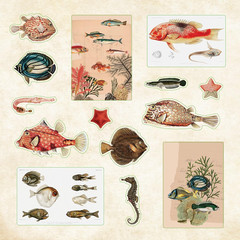 Poseidon’S Kingdom Sticker Book (Over 700 Stickers!) (Sticker Books)