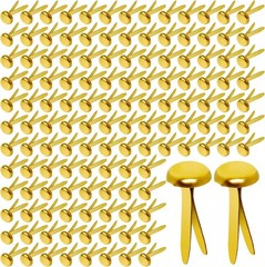Paper Brass Fasteners 3 4 Inch Metal Brads 300 Pack for Crafts and DIY