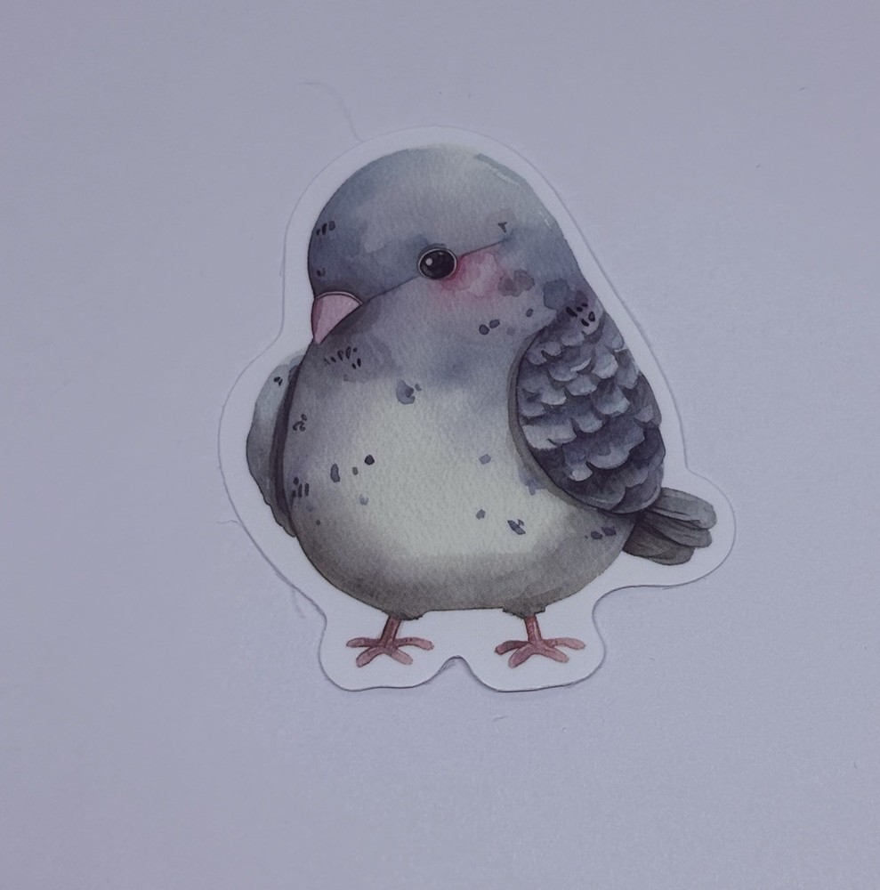 Cute Baby Pigeon Animal Sticker Vinyl Decal Journal Wall Fun Art Decor Tc9