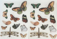 🦋2Large BUTTERFLY DRAGONFLY STICKERS Vintage Art Flower WILDFLOWER Junk Journal