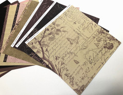 MY REFLECTIONS LA BELLE VIE Close to My Heart Paper Pack & Stickers 2 Stamp Sets
