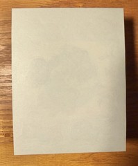 1983 UNUSED Rare Vintage Hallmark Fuzzy Kitten Sticker Sheet Butterfly Flowers