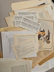  vintage junk journal paper lot, antique book pages, ephemera, forgien language 