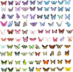 Butterfly Stickers Waterproof PET Decals for Scrapbooking Journals Planners