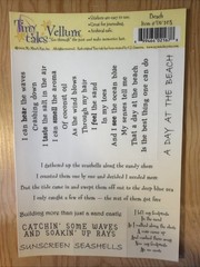 Beach Words & Phrases Vellum Sticker Sheet Scrapbook Craft Stickers