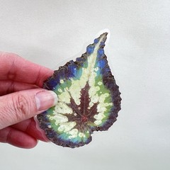 Large Leaf Stickers Scrapbooking Junk Journaling Collage