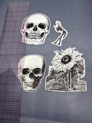 4 Sticker Set Black and White Line Art Skulls Flowers By Julie de Graag Skeleton