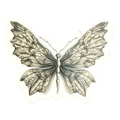 Vintage Butterfly Themed Waterproof Stickers Lot of 13
