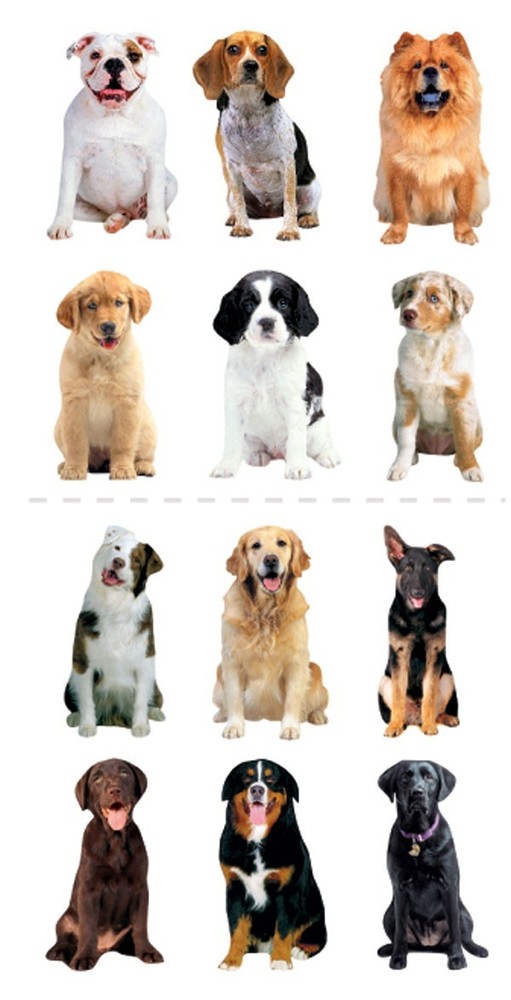 Scrapbooking Crafts Stickers Paper House Slim Dogs Repeats Lab Husky Retriever