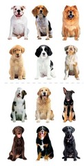 Scrapbooking Crafts Stickers Paper House Slim Dogs Repeats Lab Husky Retriever
