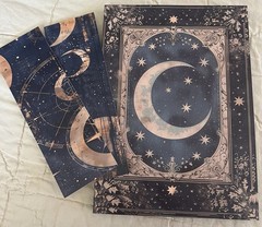 Romantic Universe Moon Stars Witchy Scrapbook Journal Paper Book Pet Stickers