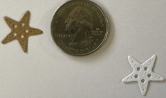 MINI SEA CREATURES Die-Cut Set(16pc)Starfish•Turtle•Crab •Ocean•Jellyfish•Whale•