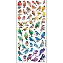 Violette Stickers – Birds – 1 Rainbow Bird Sticker Sheet – Stationery Crafts