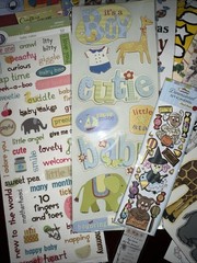 HUGE Lot of Words, Phrases Flowers Baby Safari Craft Stickers