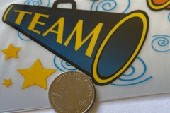 TEAM SPIRIT Iron Ons6 3 4x 3 3 4 HorizonCheerleaderMegaphoneHigh School