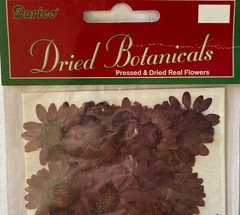 PURPLE PRESSED & DRIED REAL FLOWERS(20pc)Darice•Leaves•Garden Stem•Blooming•buds