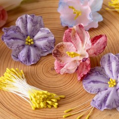 Winsyison 800pcs Double Heads Stamens for 2mm tip, 59mm length, Yellow-800pcs