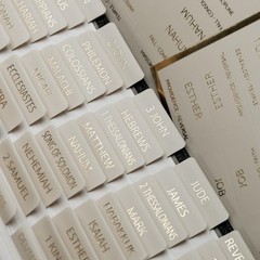 UPAFEXXI-Laminated Bible Tabs with Book Summaries(Gold Foil Summaries Gray