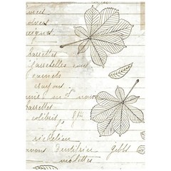 Stamperia Rice Paper- Herbarium Silvae A6 Backgrounds, DFSAK6048