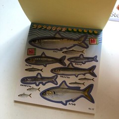 FISH Japanese Stickers book 274 stickers Shogakkan NEO Book Series