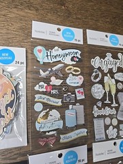 Recollections Travel Adventure Honeymoon Vacation Getaway Scrapbook Stickers 94